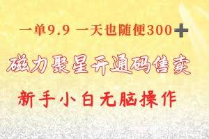 （10519期）快手磁力聚星码信息差 售卖  一单卖9.9  一天也轻松300+ 新手小白无脑操作