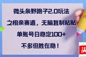 （12763期）微头条野路子2.0玩法之相亲赛道，无脑复制粘贴，单账号日稳定100+，不…