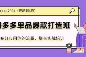2024拼多多单品爆款打造班，充分应用你的流量，增长实战培训(更新6月)