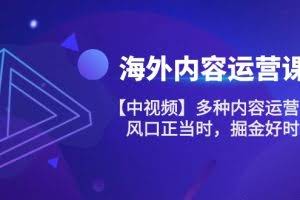 海外内容运营课【中视频】多种内容运营玩法 风口正当时 掘金好时机（101节）