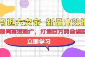 亚马逊大卖家新品高效推广，分享如何高效推广，打造百万美金爆款单品