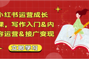 小红书运营成长课，写作入门&内容运营&接广变现【文档】