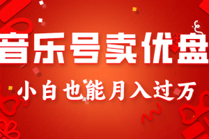 音乐号卖优盘，AE制作100%原创视频，小白也能月入过万