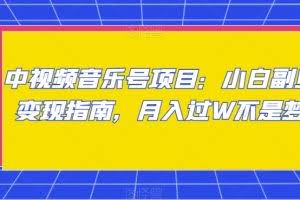 中视频音乐号项目：小白副业变现指南，月入过W不是梦【揭秘】