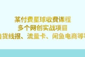 某付费星球课程：多个网创实战项目，撸货线报、流量卡、闲鱼电商等（文档非视频）