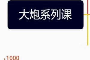 大炮拼多多运营系列课，各类​玩法合集，拼多多运营玩法实操
