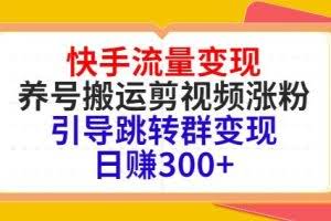 快手流量变现,养号搬运剪视频涨粉,引导跳转群变现日赚300+
