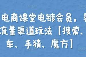 大王真电商课堂电镀会员，覆盖淘系4大流量渠道玩法【搜索、直通车、手猜、魔方】