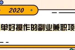 简单好操作的副业兼职项目，小红书派单实现月入5000+【视频课程】