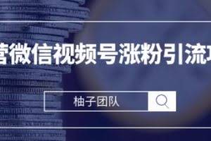 手把手教你运营微信视频号涨粉引流攻略，轻松涨粉10W+【视频课程】