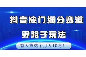 抖音冷门细分赛道野路子玩法，有人靠这个月入10万