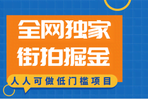 全网独家一街拍掘金，低门槛人人可做的赚钱项目