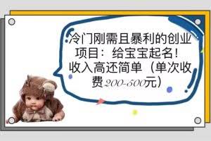 冷门刚需且暴利的创业项目：给宝宝起名！收入高还简单（单次200-500）