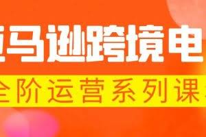 亚马逊跨境-电商全阶运营系列课程 每天10分钟，让你快速成为亚马逊运营高手