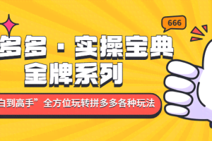 拼多多·实操宝典：金牌系列“小白到高手”带你全方位玩转拼多多各种玩法