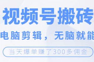视频号无脑搬砖带货，会电脑剪辑无脑就能干，当天爆单赚300+佣金