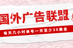 外面收费1980最新国外LEAD广告联盟搬砖项目，单号一天至少30美金(详细教程)