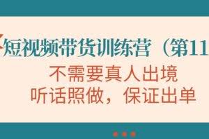 视频带货训练营,不需要真人出境,听话照做,保证出单(第11期)