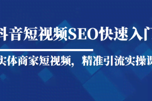 抖音短视频Seo搜索排名优化新手快速入门教程,实体商家短视频,精准引流实操课