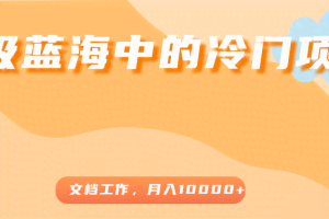 超级蓝海中的冷门项目，文档工作，好玩又赚钱，月入10000+