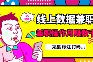 线上数据兼职【采集 标注 打码…】等多个项目，兼职操作月赚数千