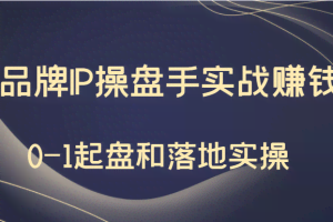 秒懂代运营：品牌IP操盘手实战赚钱，0-1起盘和落地实操（价值199元）