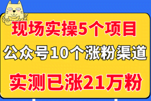 现场实操5个公众号项目，10个涨粉渠道，实测已涨21万粉！（无水印）