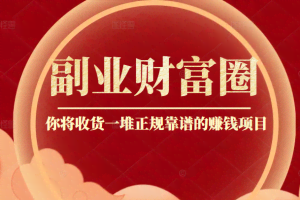 阿拉丁副业财富圈，你将收货一堆正规靠谱的赚钱项目 价值580元
