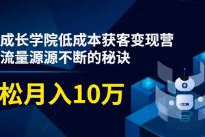 低成本获客变现营，教你流量源源不断的秘诀，轻松月入10万