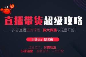 抖音直播带货超级攻略：抖音直播带货的详细玩法，小店运营、付费投放等