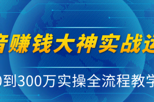 抖音赚钱大神实战运营教程，0到300万实操全流程教学，抖音独家变现模式