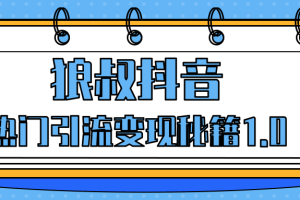 狼叔抖音热门引流变现秘籍1.0，人人都可以捞金的项目，让你的视频曝光10W+