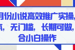 五月份小说高效推广实操，0成本，无门槛，长期可做，适合小白操作