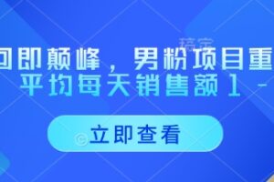 重回即颠峰，男粉项目重磅回归，平均每天销售额1-4W
