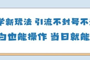 国学新玩法，引流不封号不违规小白也能操作，当日就能变现