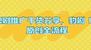 短剧推广干货分享，豹剧 1:1原创全流程