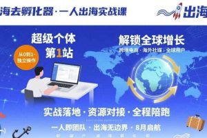 出海去孵化器，一人出海实战课，​超级个体第1站，解锁全球增长