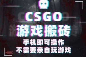 CSGO游戏挂G捡漏，单日扫货5张+，年底小高峰上车可吃肉，手机即可操作，兼职副业创业网创【揭秘】