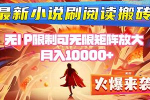 （16237期）小说阅读搬砖单机每天收益200-400+ 无IP限制可无限矩阵放大 —