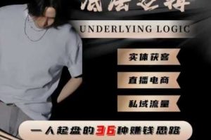 一个人起盘的底层逻辑,私域流量-直播电商-实体获客,一人起盘的36种賺钱思路