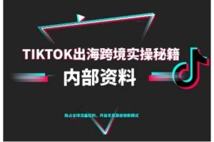 TikTok跨境电商0-1搭建运营,TK出海跨境实操秘籍(10月更新)