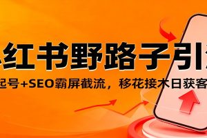 小红书野路子引流,暴力起号+SEO霸屏截流,移花接木日获客100+