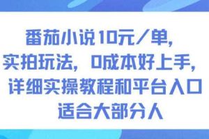 番茄小说10米每单,实拍玩法,0成本好上手,详细实操教程和平台入口适合大部分人