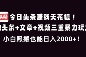 (16888期)今日头条赚钱天花板!微头条+文章+视频三重暴利玩法,小白照搬也能日人2000+