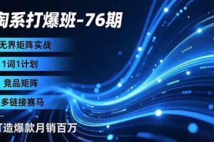 (16914期)淘系打爆班-76期,无界矩阵实战,1词1计划、竞品矩阵、多链接赛马,打造爆款月销百万