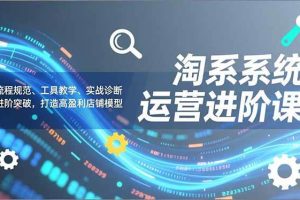 （16927期）淘系系统运营进阶课2.0，流程规范、工具教学、实战诊断，进阶突破，打造高盈利店铺模型