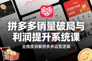 拼多多销量破局与利润提升系统课，全维度讲解拼多多运营逻辑