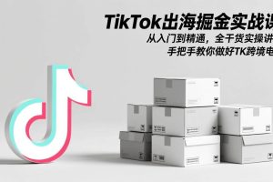 （17368期）TikTok出海掘金实战课：从入门到精通，全干货实操讲解，手把手教你做好TK跨境电商