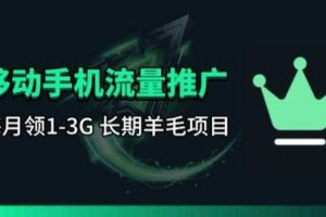手机流量领取推广_每月一轮，刚需类的长期项目