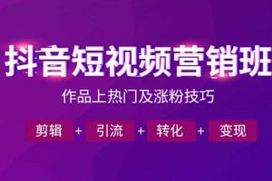 抖音短视频运营班，一门课学会作品上热门及涨粉技巧，引流转化剪辑变现（2026年5月）